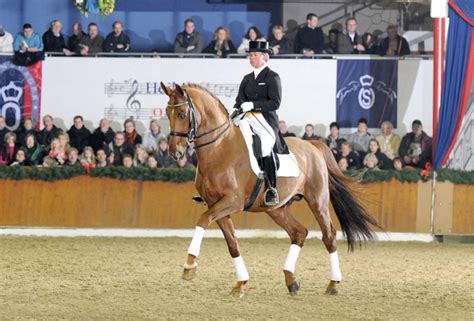 Hengst von Breitling W: horse, Pedigree 